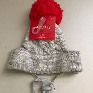Doggie Hat
